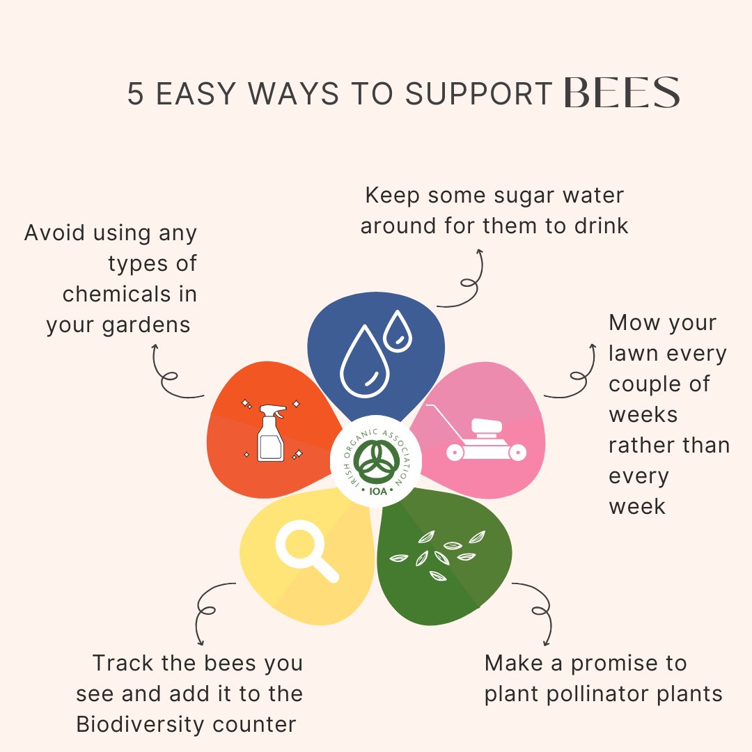 IrishOrganicA's tweet photo. 5 Easy Ways to Support the Bees 🐝🐝🐝

#helpthepollinators #demandorganic #supportthebees https://t.co/NMwkAQwgZv