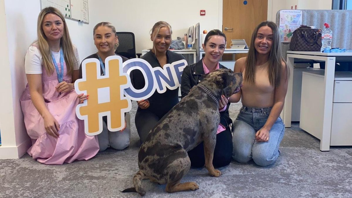 One Agency Recruitment tweet media