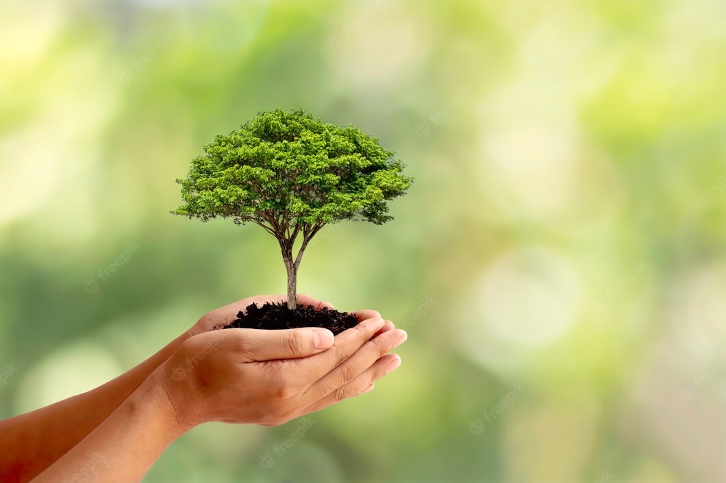 MrSachinTech1's tweet image. The rainy season is not so far. 🌳PLEASE PLANT AT LEAST 10 TREES IN THIS SEASON 🌳. This small step will make a big change this is only way by which we can survive. Thank you
#stopdeforestation
#stopcuttingoftrees
#planting
#SaveEarth
#SaveSoil