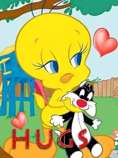 Good morning everyone