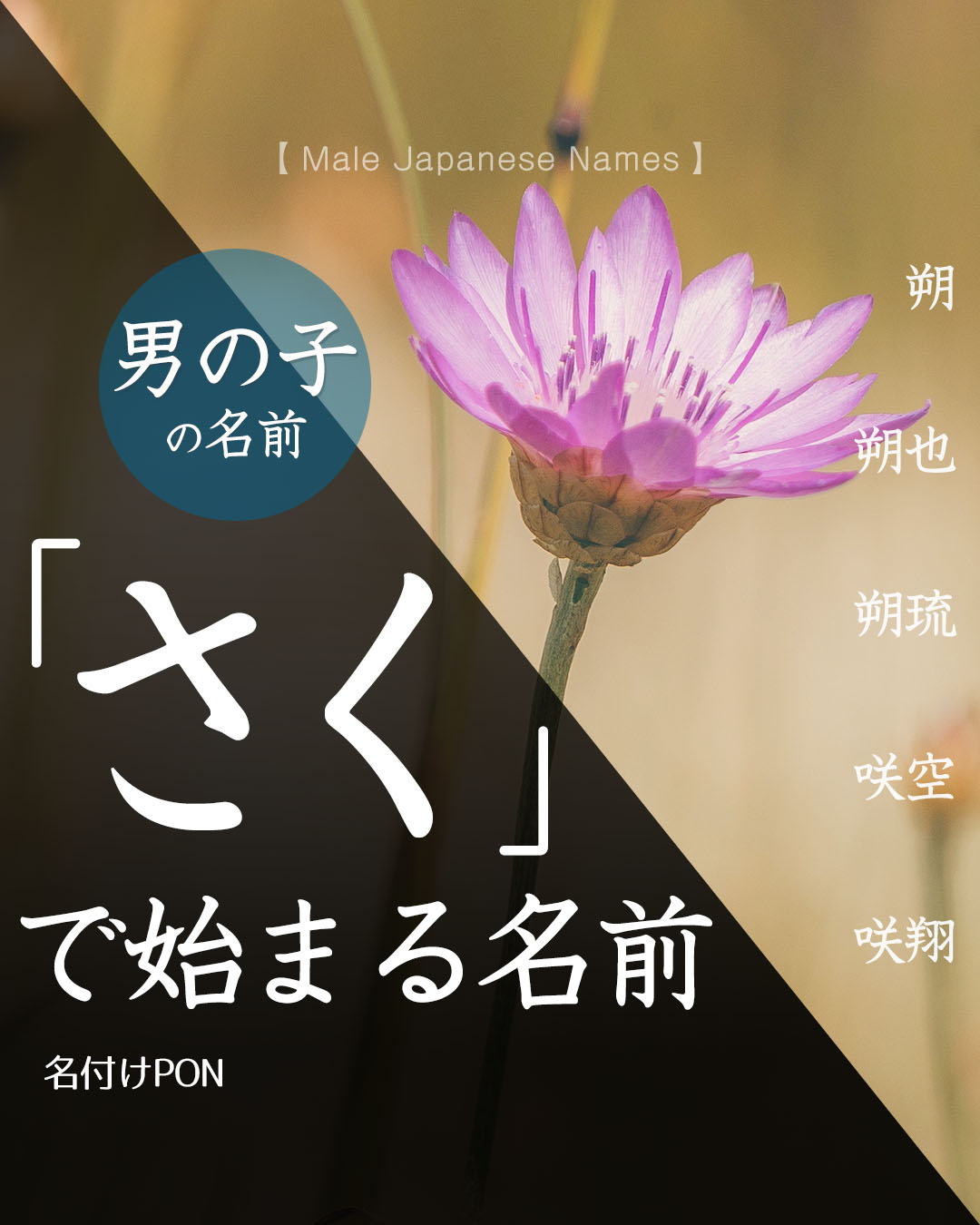 名付けポン 赤ちゃんの名前集 さく で始まる男の子の名前 その1 さく の響きは 花が咲く に通じ 笑顔や才能の開花などの前向きな印象があります その2はこの後投稿します 名付けポン 名付け 名前 漢字 プレママ マタニティ 妊娠