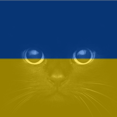 FlagifyUkraine's tweet photo. Free Ukraine Avatar @BooBooskitty https://t.co/kpbCVRUu20