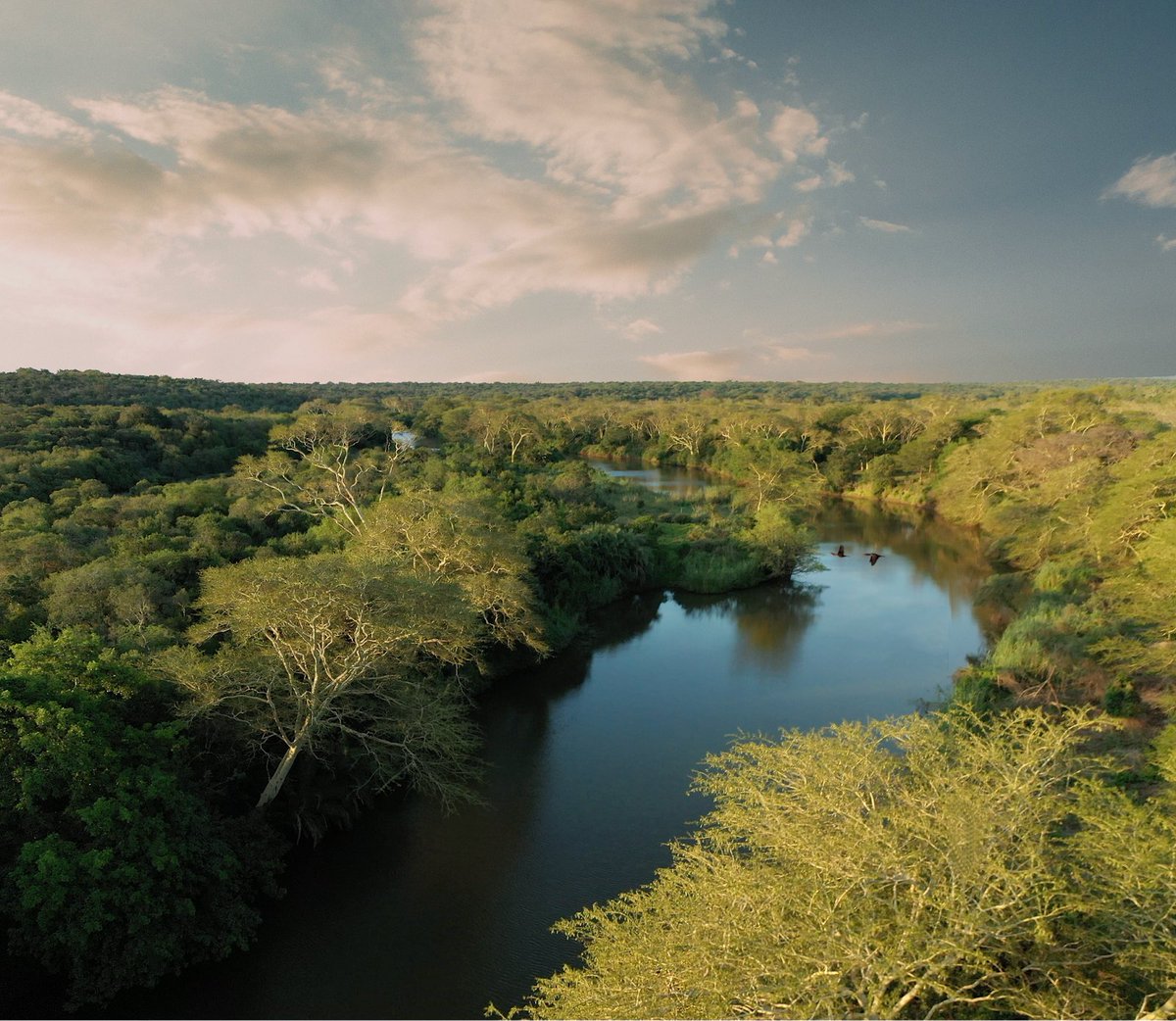 wildtomorrow's tweet photo. Today is the #GreaterUkuwelaNatureReserve's first #birthday🎉, marking 1 year since the official declaration that created the #Nature #Reserve and gave it legal protection in #SouthAfrica.🏞️ Head to https://t.co/4UFNi4vWUd to learn more! https://t.co/bpwc5F7YsO