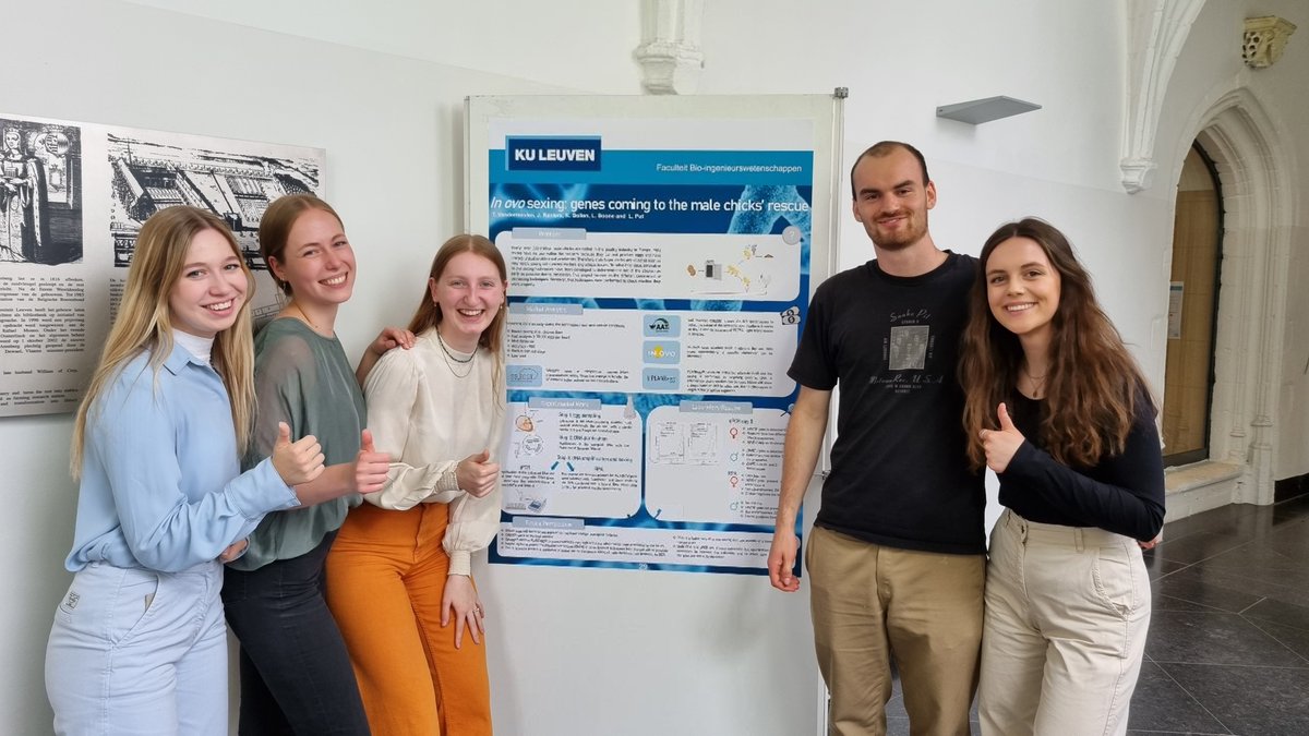 lammertyn_lab's tweet photo. 📢 Last Wednesday (25th), the bachelor thesis students doing their project in our lab presented their poster successfully on the #inOvo sexing of chickens! 🐣 Congratulations on the success of the project 🎉
@KU_Leuven @biosystkuleuven https://t.co/RJ8oYAN0NR