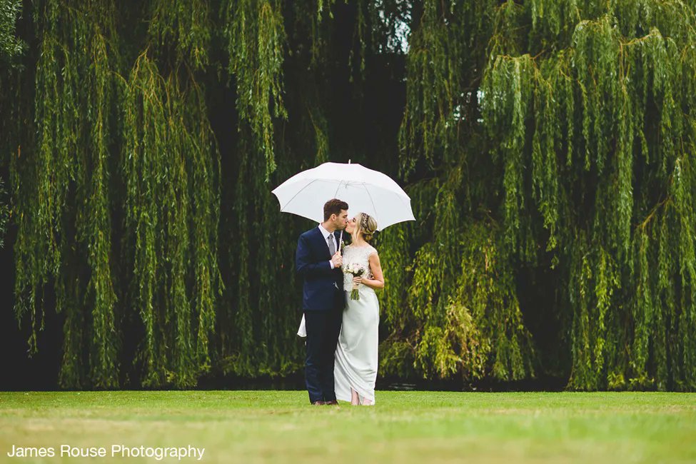 The Wedding Secret tweet media