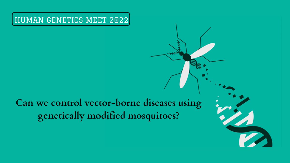 Fertility_Meet's tweet photo. Visit our today’s #blog on “Can we control vector-borne diseases using genetically modified mosquitoes?”

For more updates contact us at #HGM2022

https://t.co/3tz95ItLez

#biochemistry #bioengineering #geneediting #geneexpression #geneticengineering #genetherapy #biotechnology https://t.co/nWJDFkd9g5