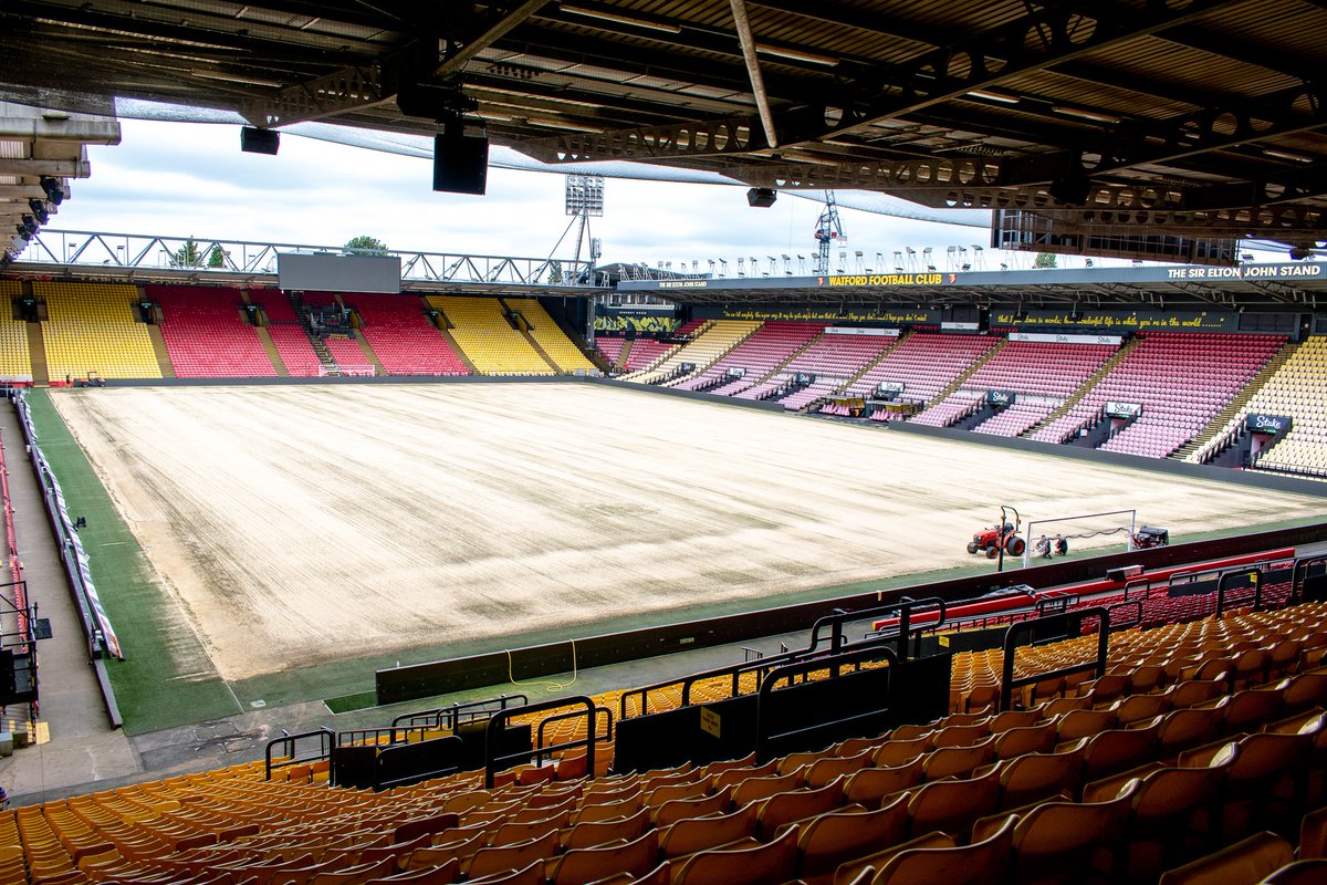 Watford Football Club tweet media