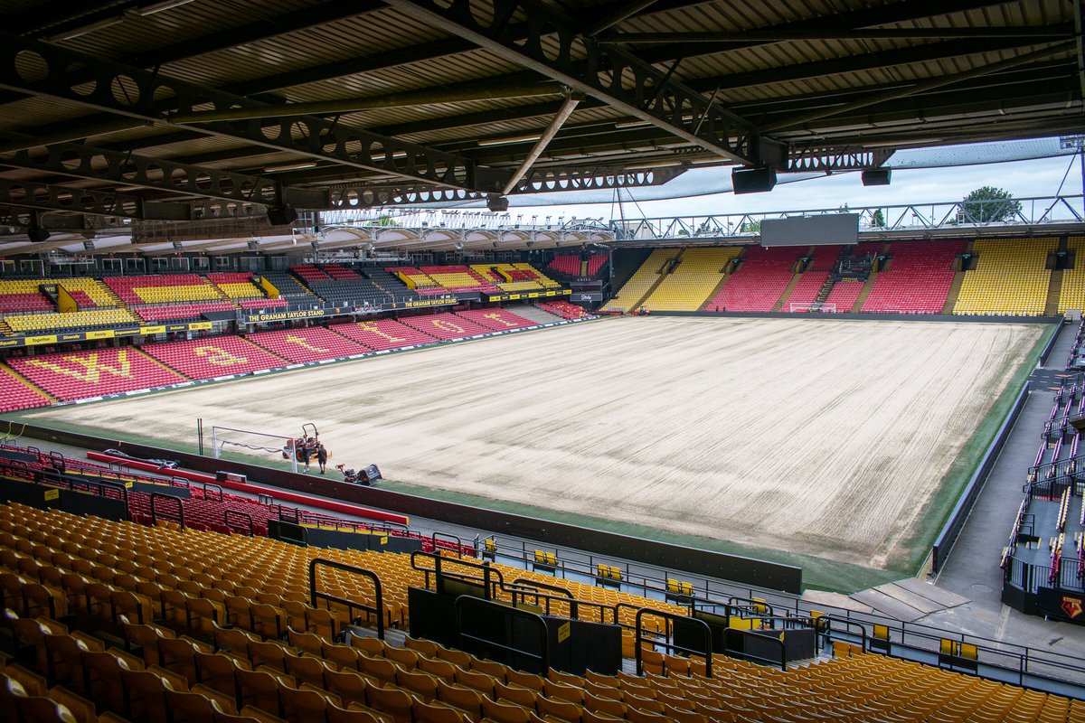 Watford Football Club tweet media