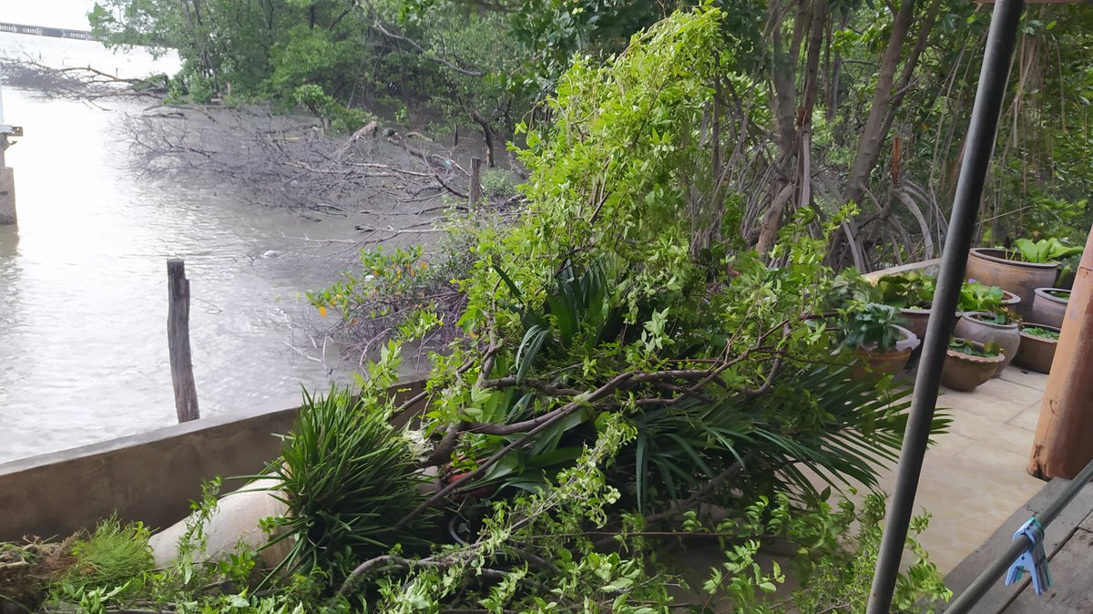 iprakob's tweet image. พายุหมุนมาแต่ไหนไม่รุ..ตั้งตัวไม่ทัน.
ล้มเป็นแถวเลย