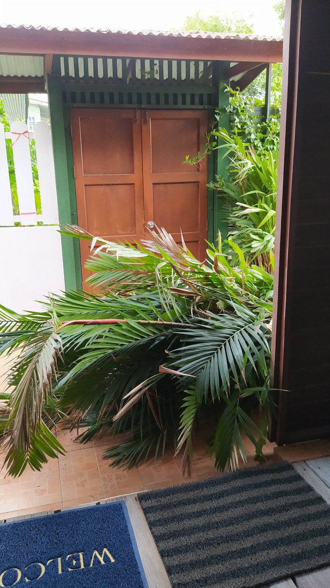 iprakob's tweet image. พายุหมุนมาแต่ไหนไม่รุ..ตั้งตัวไม่ทัน.
ล้มเป็นแถวเลย