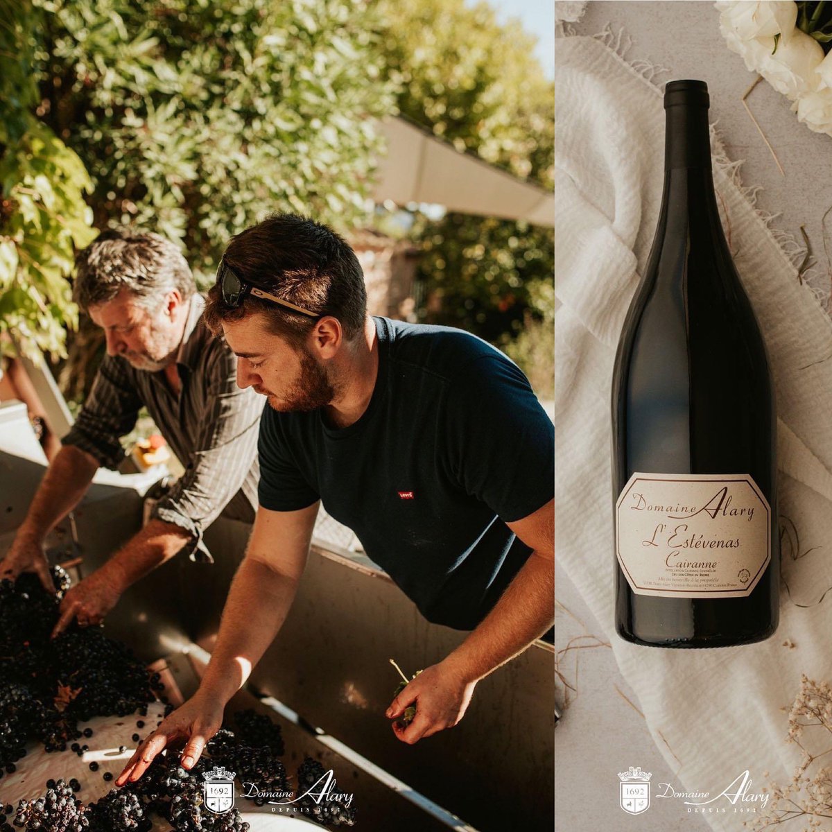 @Jancis_Robinson @RichardHemming reviews #DomaineAlary L'Estévenas 2018 Cairanne
jancisrobinson.com/articles/dom-a…

“Few #wine can compete with Ch-d-B 1978, an iconic Ch-d-P from a legendary vintage, but this unassuming 2018 from the village of Cairanne did exactly that”
#sommelier #h2vin