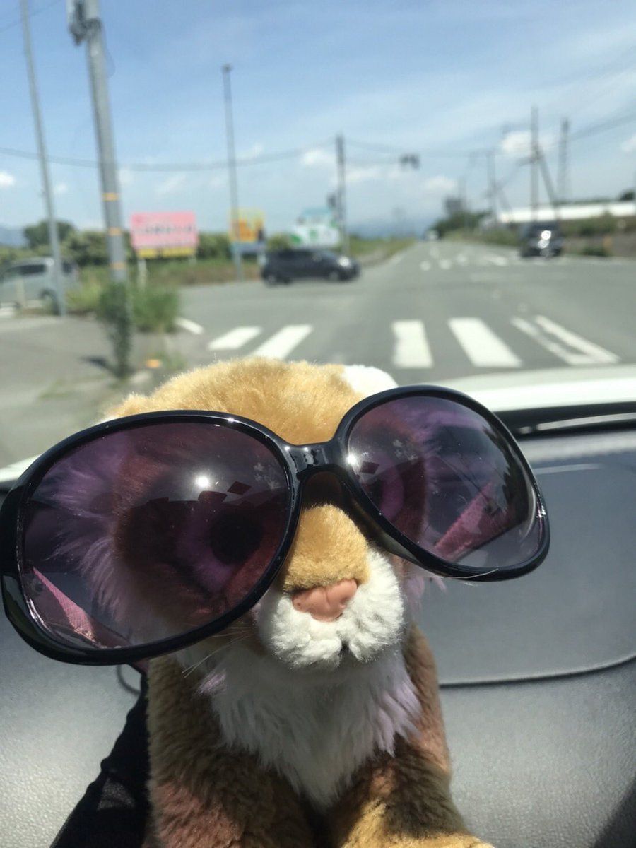 Melanie 🐯 tweet media