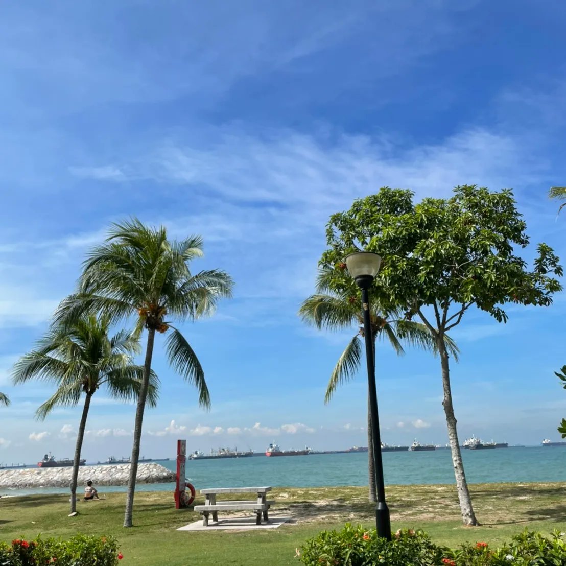 イーストコーストパークでサイクリング🚲
リーズナブルで健康なことが大好きです♥️

シンガポールのオススメ自然スポット探検スポットおしえてください✨😆