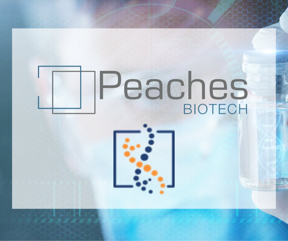 peaches_biotech's tweet photo. 𝐀𝐦𝐞𝐫𝐢𝐜𝐚𝐧 𝐉𝐨𝐮𝐫𝐧𝐚𝐥 𝐨𝐟 𝐁𝐢𝐨𝐦𝐞𝐝𝐢𝐜𝐚𝐥 𝐒𝐜𝐢𝐞𝐧𝐜𝐞 &amp; 𝐑𝐞𝐬𝐞𝐚𝐫𝐜𝐡 publica los avances sobre nuestro fármaco biológico PRS CK STORM para luchar contra procesos infecciosos graves ¡Cada vez más cerca! 
https://t.co/TXmgvrKV9h https://t.co/NLUyQcA7ax