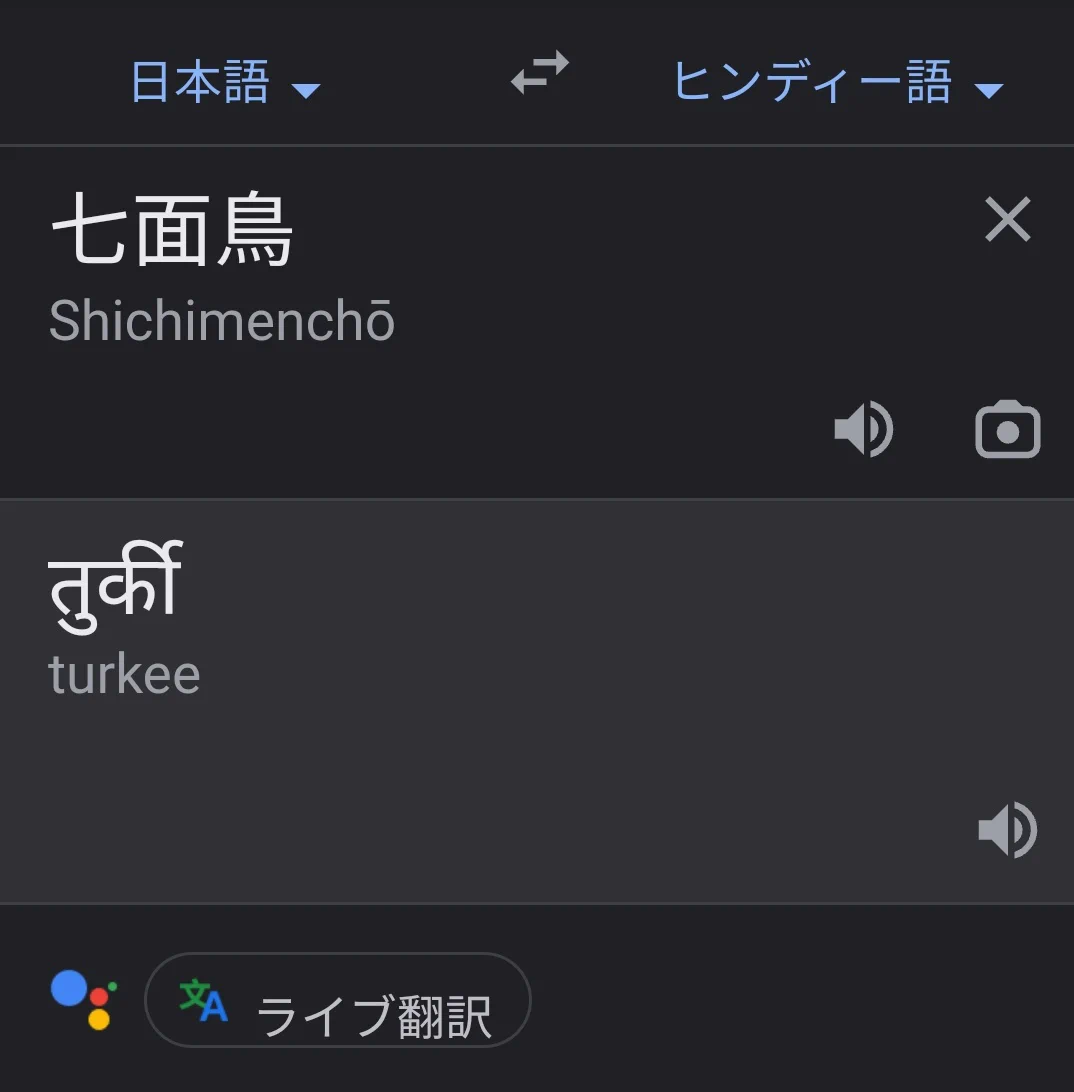 @KoalaEnglish180 Googleさんによるとヒンディー語では画像の通りだそうです。インドの「方言」だとペルーの鳥なんですネ! 