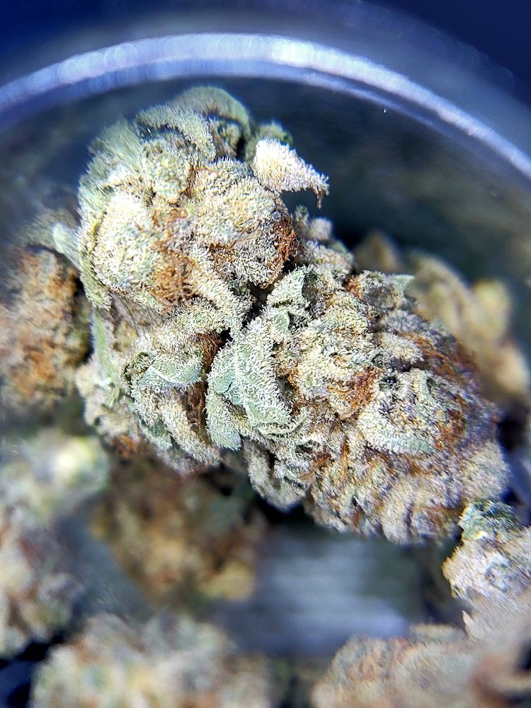 Content from thickbitch_stoner