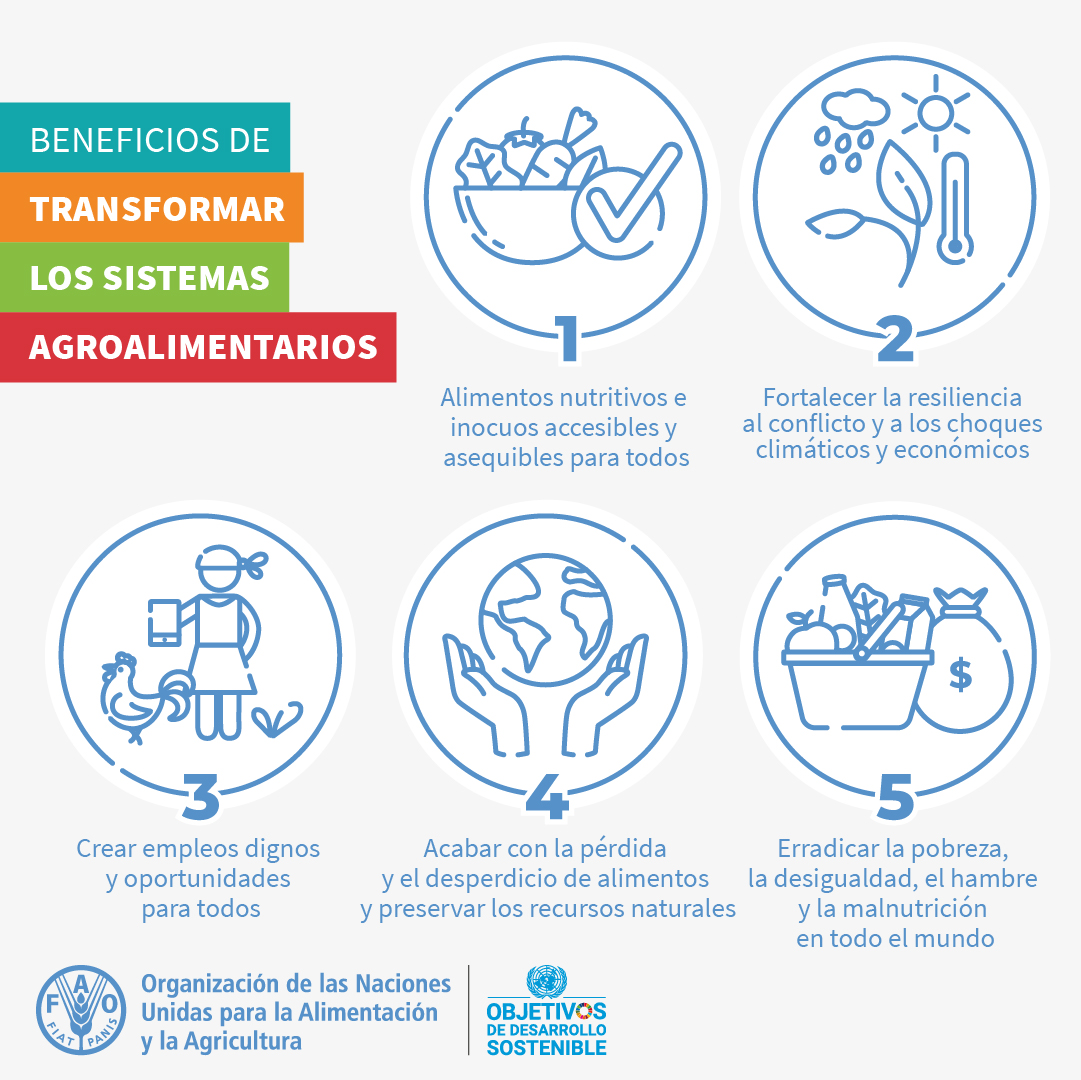 FAOenEspanol's tweet photo. En la FAO trabajamos para lograr sistemas agroalimentarios MÁS eficientes, inclusivos, resilientes y sostenibles.

 5 beneficios de transformar los sistemas agroalimentarios 👇 https://t.co/RJFiRScpmW