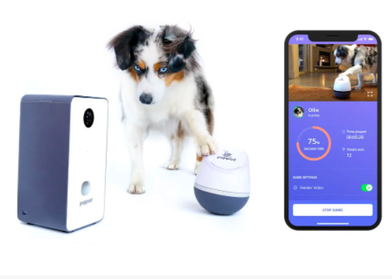 PupPod's tweet image. Calling all new members of the #PupPod community! Want to see PupPod live in action? We have a #demo video that shows you exactly how it works.

Check it out here 🐶  -&amp;gt; puppod.com/pages/puppod-d…

#dogproducts #pettech