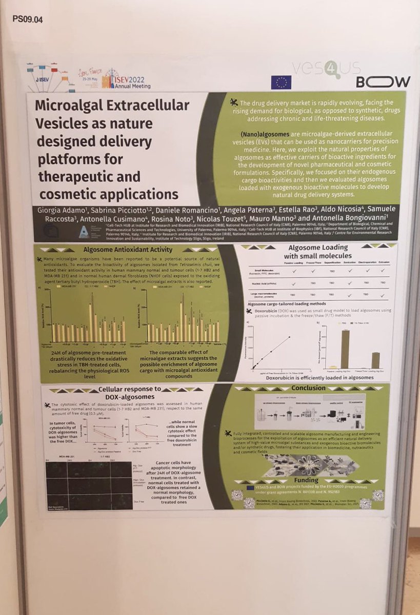 Sabrina Picciotto tweet media