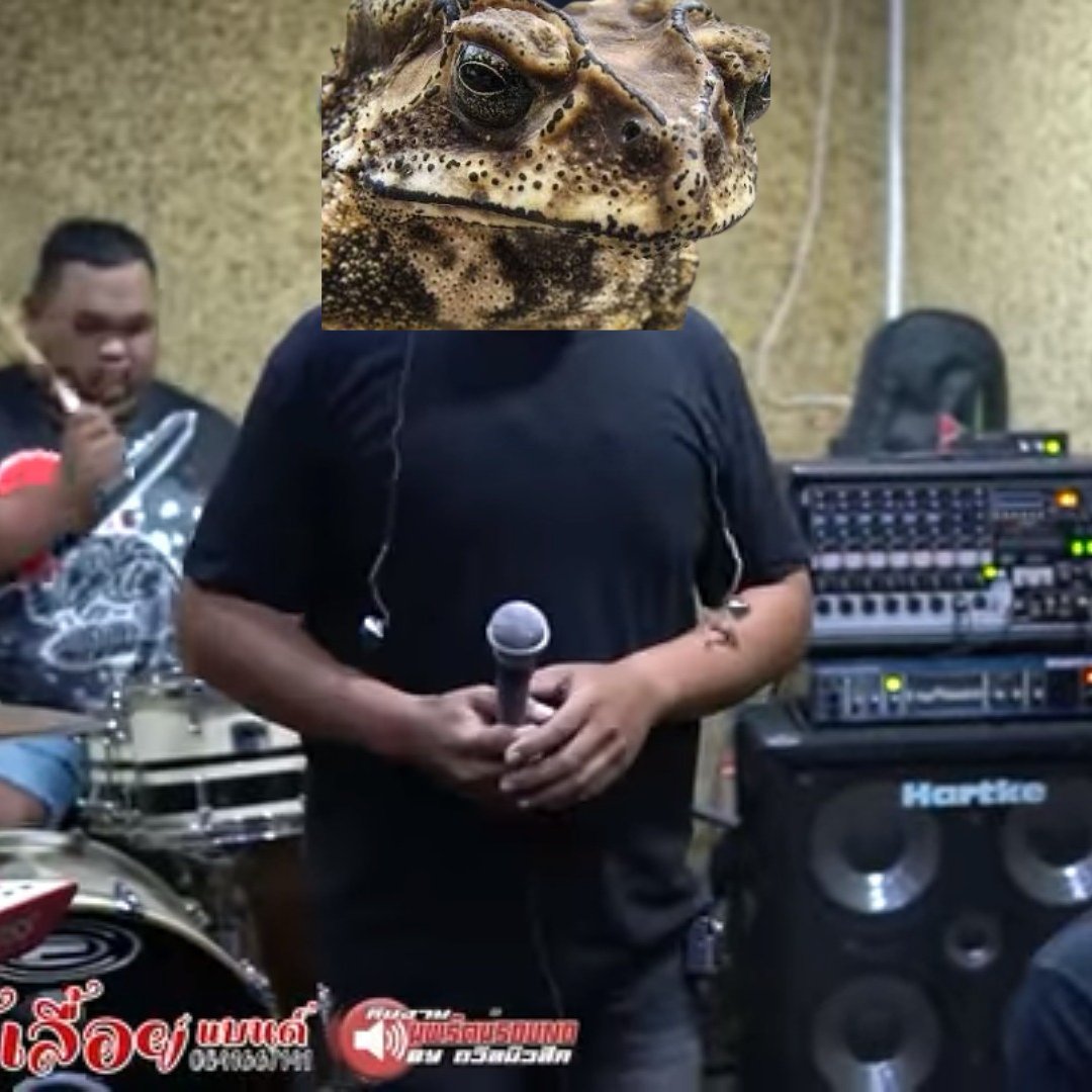 -สุภาษิตไทยวันละคำ-

ขอเสนอคำว่า "คางคกขึ้นวอเอ๊ะๆๆๆ"