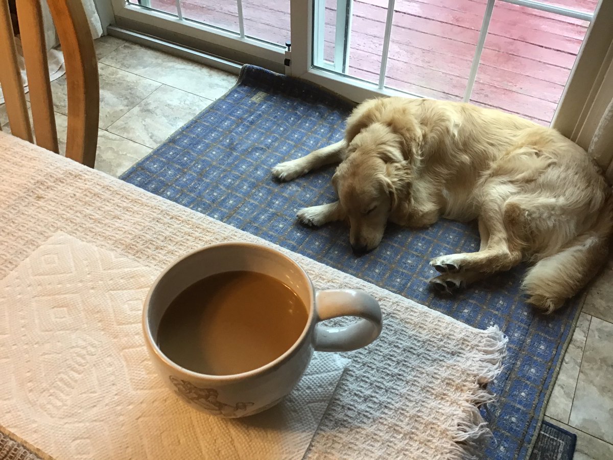 TheReal_ID_Dave's tweet photo. @strategywoman Major Tom and Lucas are happy to join you!  #warcoffee  #peacefriends #cheers https://t.co/VXz29qieIq