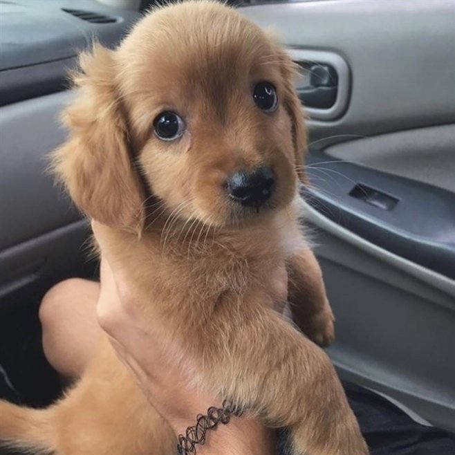 Dinomite🦖🧨 tweet media