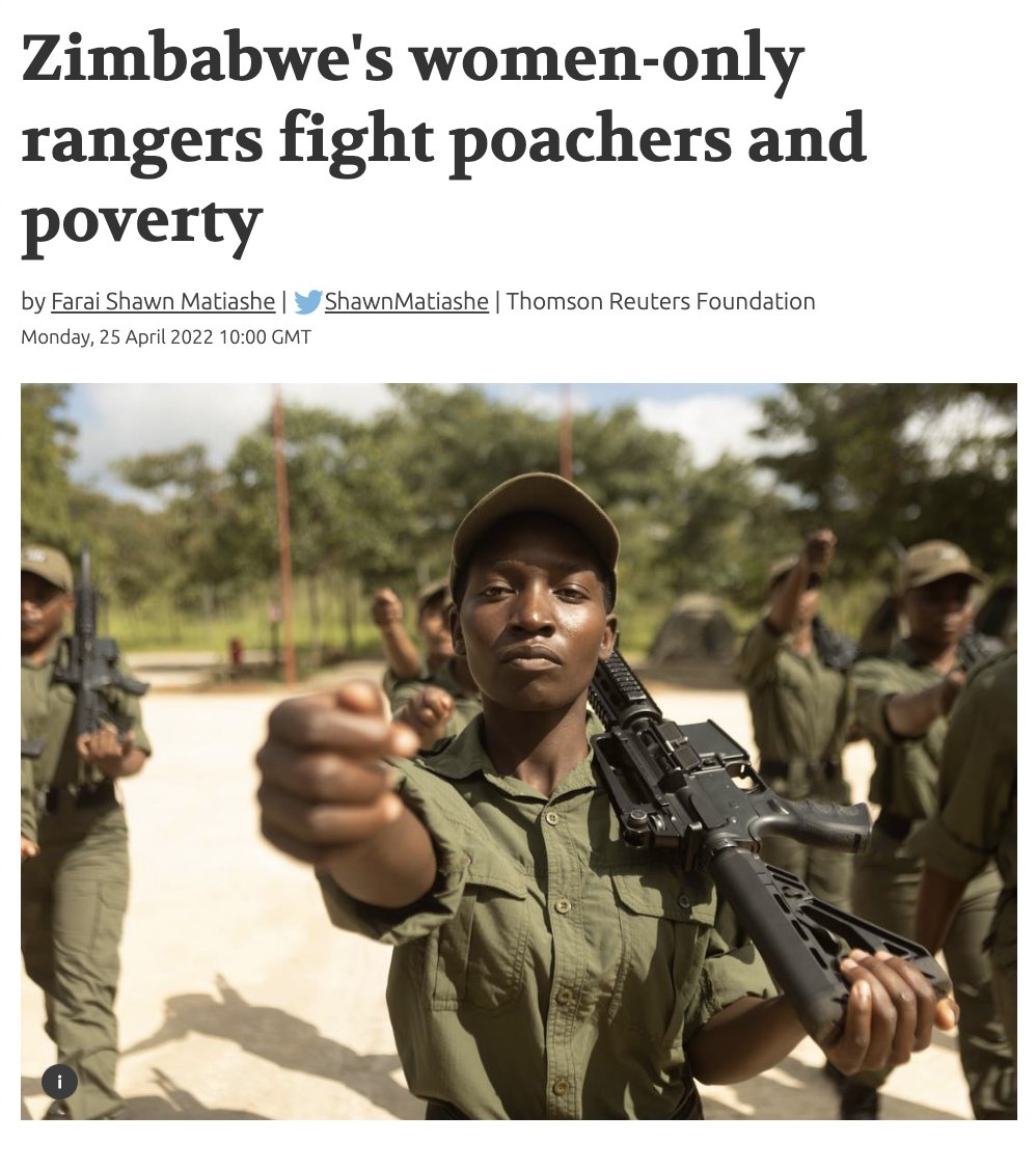 📰 ARTICLE from THOMPSON REUTERS FOUNDATION NEWS

Zimbabwe's women-only rangers fight poachers and poverty
by Farai Shawn Matiashe 

READ MORE AT: news.trust.org/item/202204221…

#journalism #newsarticle #rangers #femalerangers #womenrangers