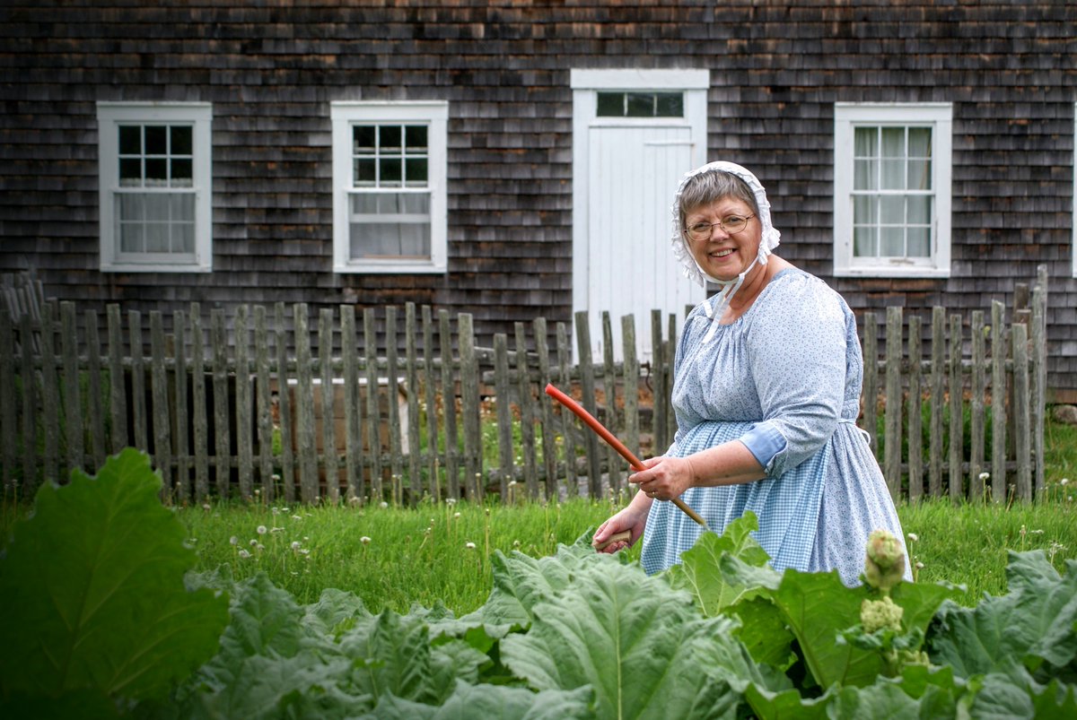 Ever wonder what to do with all the rhubarb from your garden? This weekend staff at Rosebank Cottage will be sharing some of their favorite rhubarb recipes with visitors! Plan a trip! - rossfarm.novascotia.ca