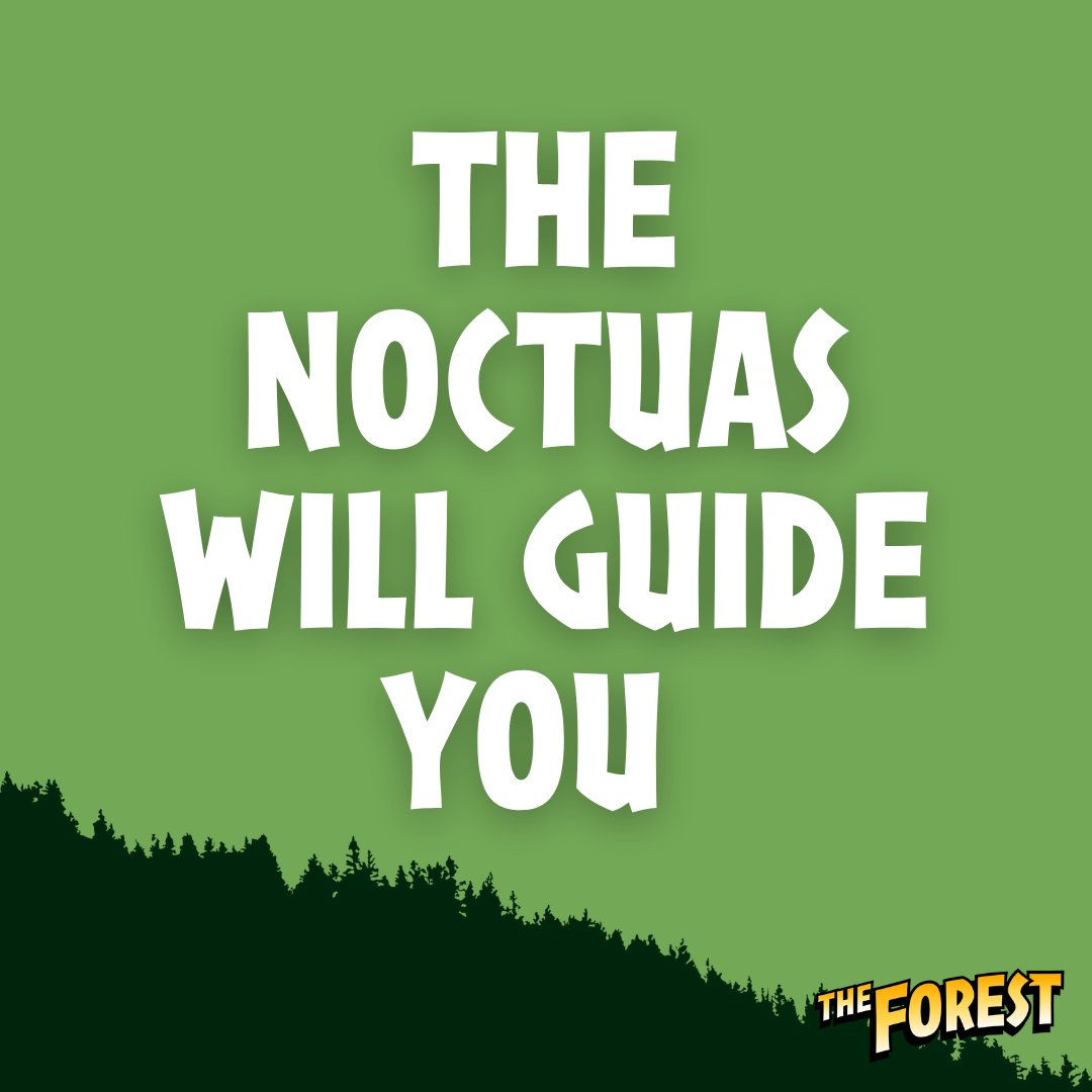 thefo_rest's tweet photo. Join us and enter the forest of your own mind, where "The Forest" Community will guide you safely on your quest 🌳🦉
#theforestcommunity
#NFTCommunity #nft https://t.co/XFX3tizwUz