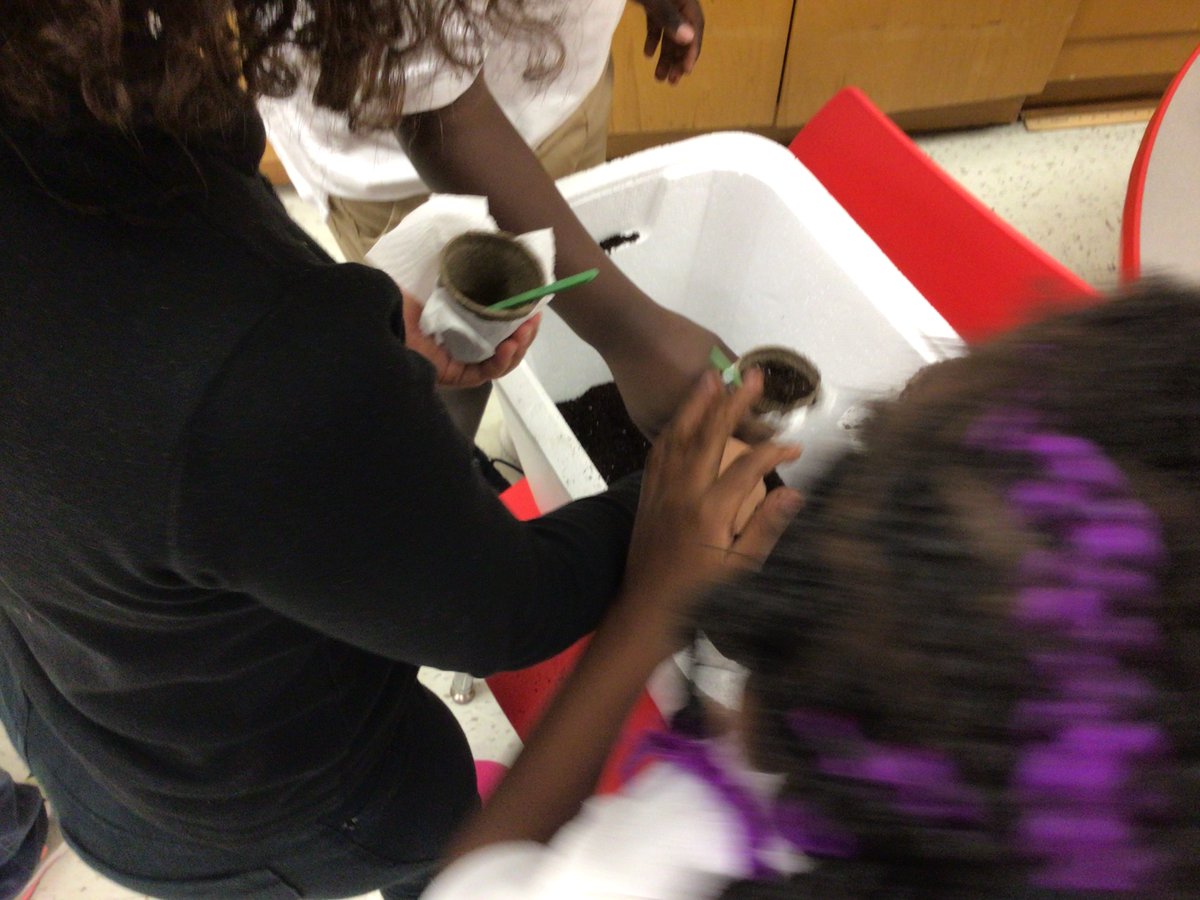 Mr. Young tweet media