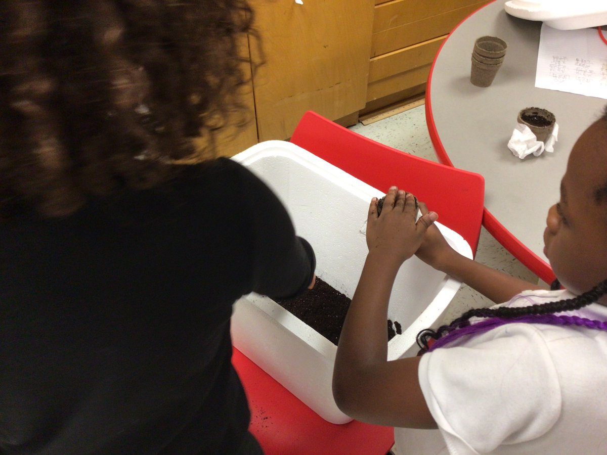 Mr. Young tweet media