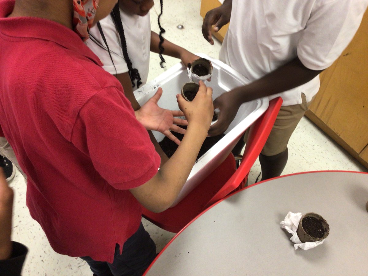 Mr. Young tweet media