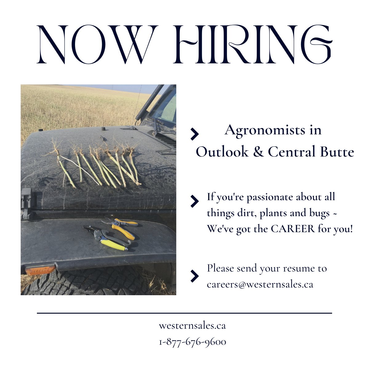 FieldSmartInc's tweet image. WE'RE LOOKING FOR AGRONOMISTS!
For job posting details visit ⬇
westernsales.ca/about-us/caree…
