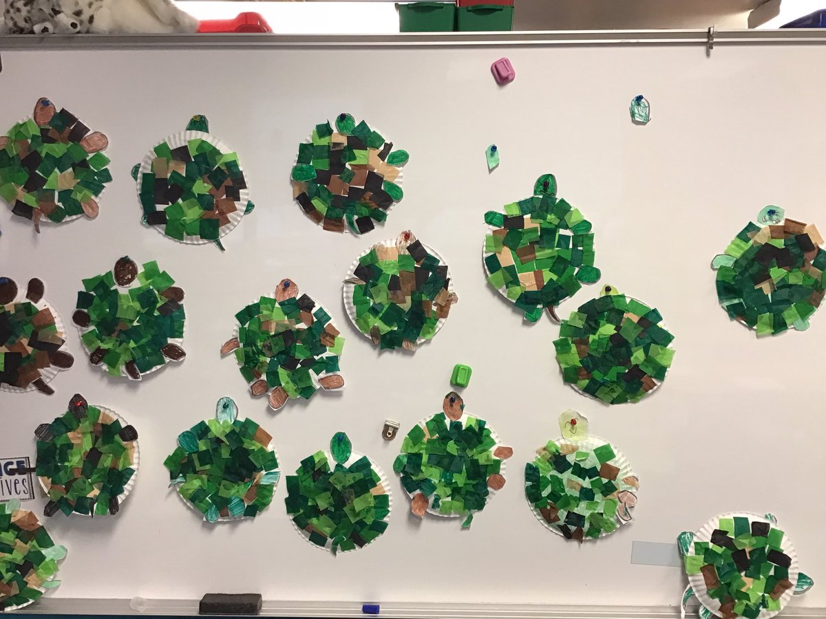 MsSokol1's tweet photo. We made Tissue paper turtles as part of our Campbell Expedition! https://t.co/grBbaxf559