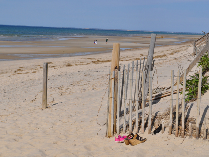 Boston Moms tweet media