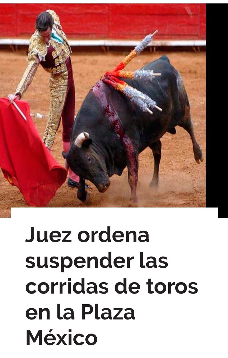 S
U
S
P
E
N
D
E
N

C
O
R
R
I
D
A
S

D
E
T
O
R
O
S

E
N

L
A

M
E
X
I
C
O

#LasCorridsDeTorosSonInconstitucionales