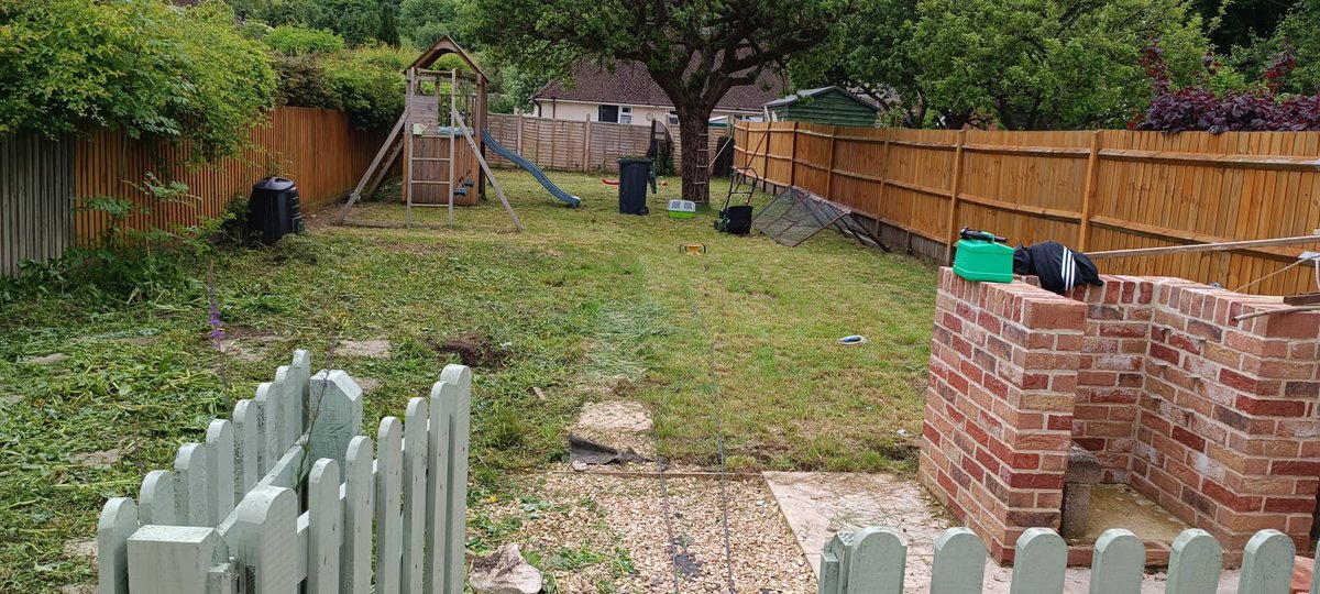 Abbie Marchment tweet media