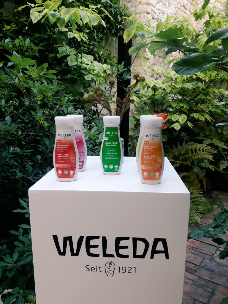 @AnaFombe tweet media