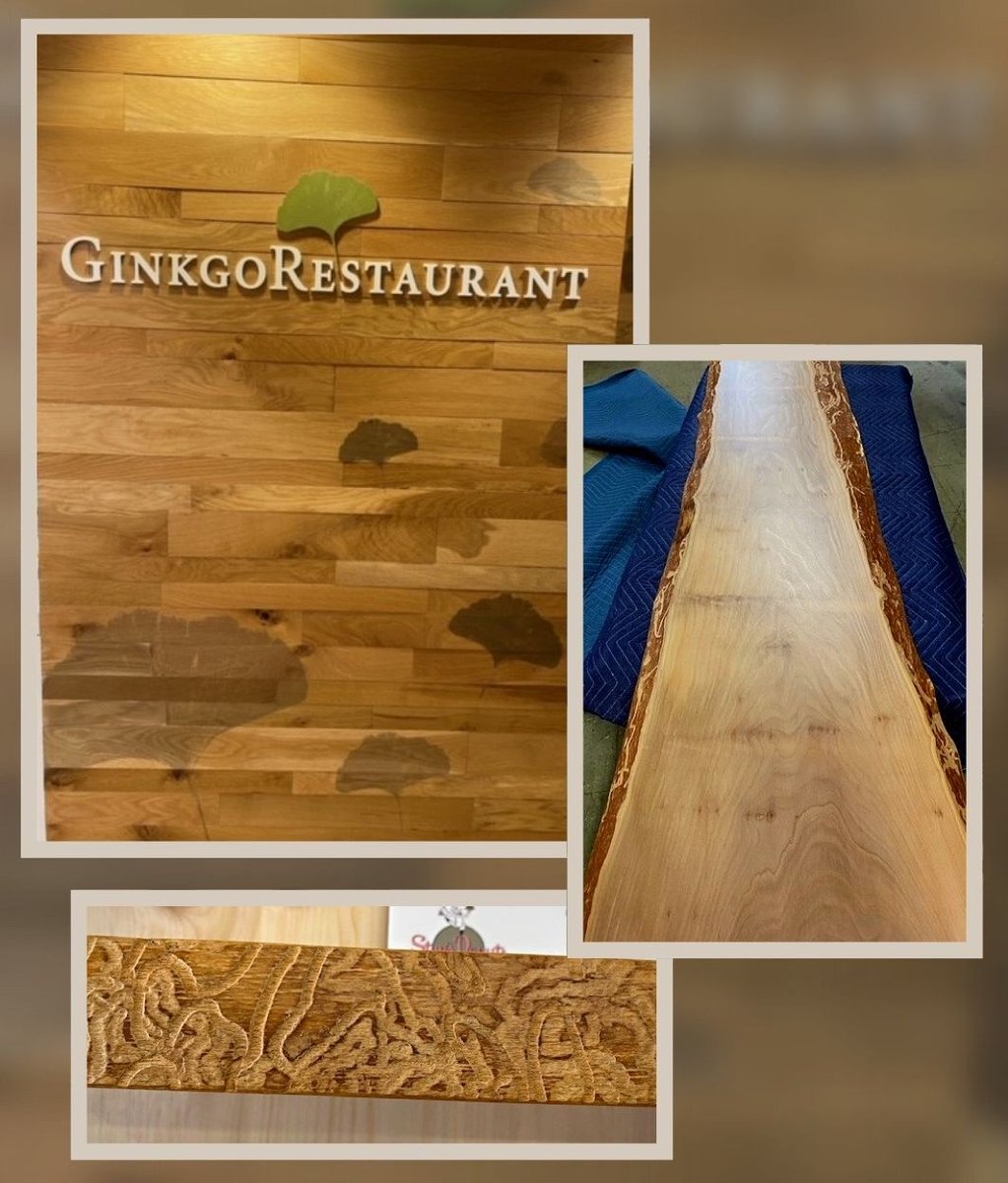 woodstatements's tweet photo. Looking for a place to decompress this weekend? The Morton Arboretum (@MortonArboretum) in Chicago’s Western Suburbs is a tree sanctuary and a perfect spot for a walk or bike ride!

#WoodStatements #MortonArboretum #Chicago #TreeSanctuary #Ginko #InteriorDesign #RestaurantDesign https://t.co/PHJiwte5F4