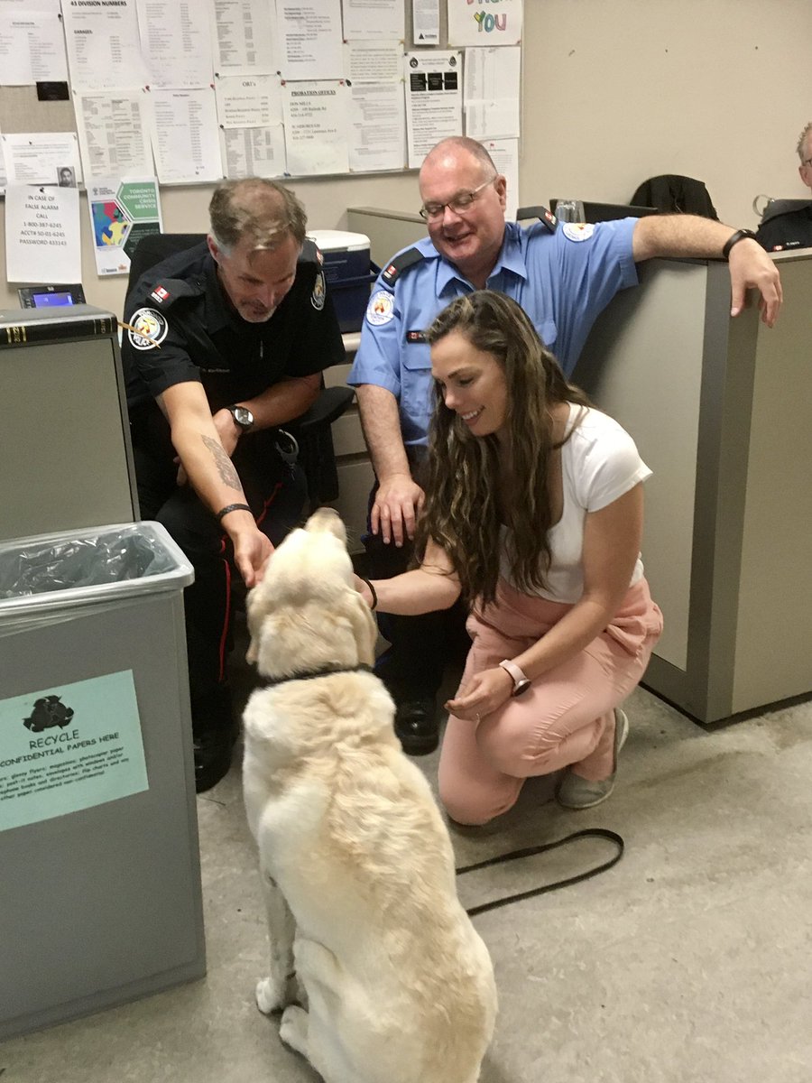 RomanandDandy's tweet photo. Dandy was at 55 Div and 43 Div today…spreading the dog love and putting smiles on everyone’s faces!
#traumadog #supportdg #poweredbyroyalcanin @TPS43Div @TPS43CRU @TPS55Div @tps55 @RoyalCanin https://t.co/DcyRZ4DoEC