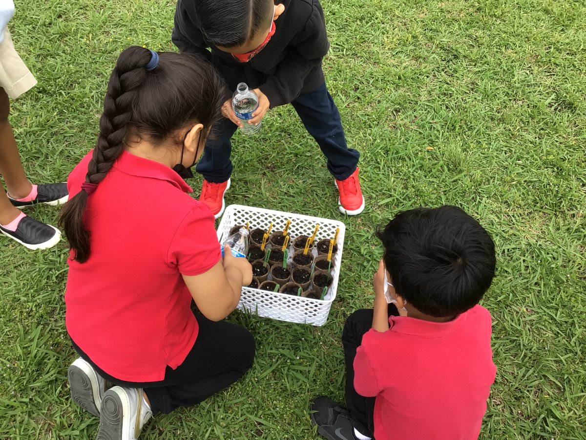 Mr. Young tweet media