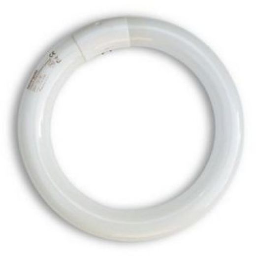 nlandc's tweet photo. Synergetic green glowing 22w circular.Designed to attract a much wider range of flying insects than traditional blue UV https://t.co/XnO4Kxy8kR the link to find out more:https://t.co/esbaGGf1u2 Use the code SPRING10 for a 10% discount at check out. https://t.co/bLv9Bl4GVX