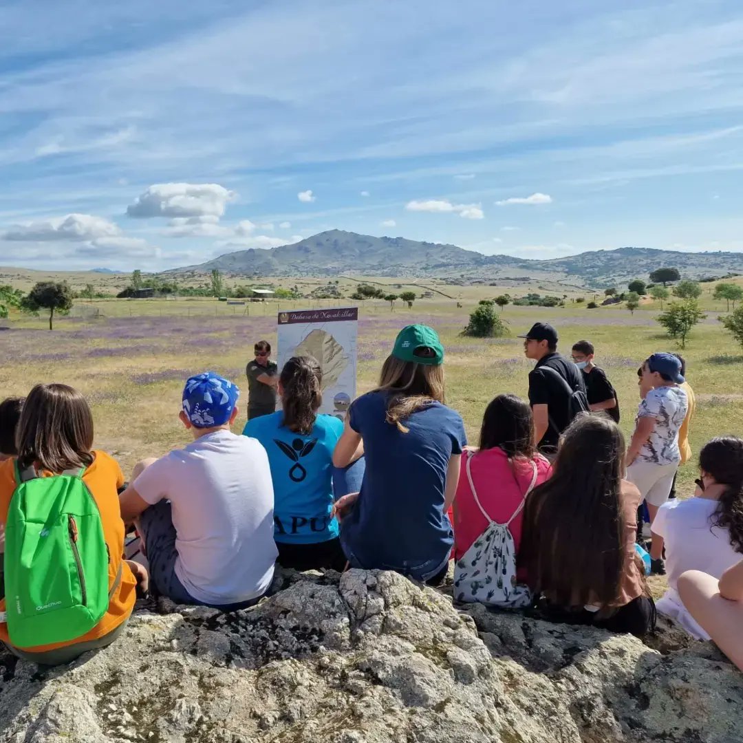 DEHESA DE NAVALVILLAR

Esta semana nustros alumnos han descubierto en la Dehesa de Navalvillar, un paraíso natural al alcance de todos. 

#juntosaprendemos #Juntosdisfrutamos #naturaleza #biodiversidad #convivencia #respetoalmedioambiente #Agenda2030 #ColmenarViejo