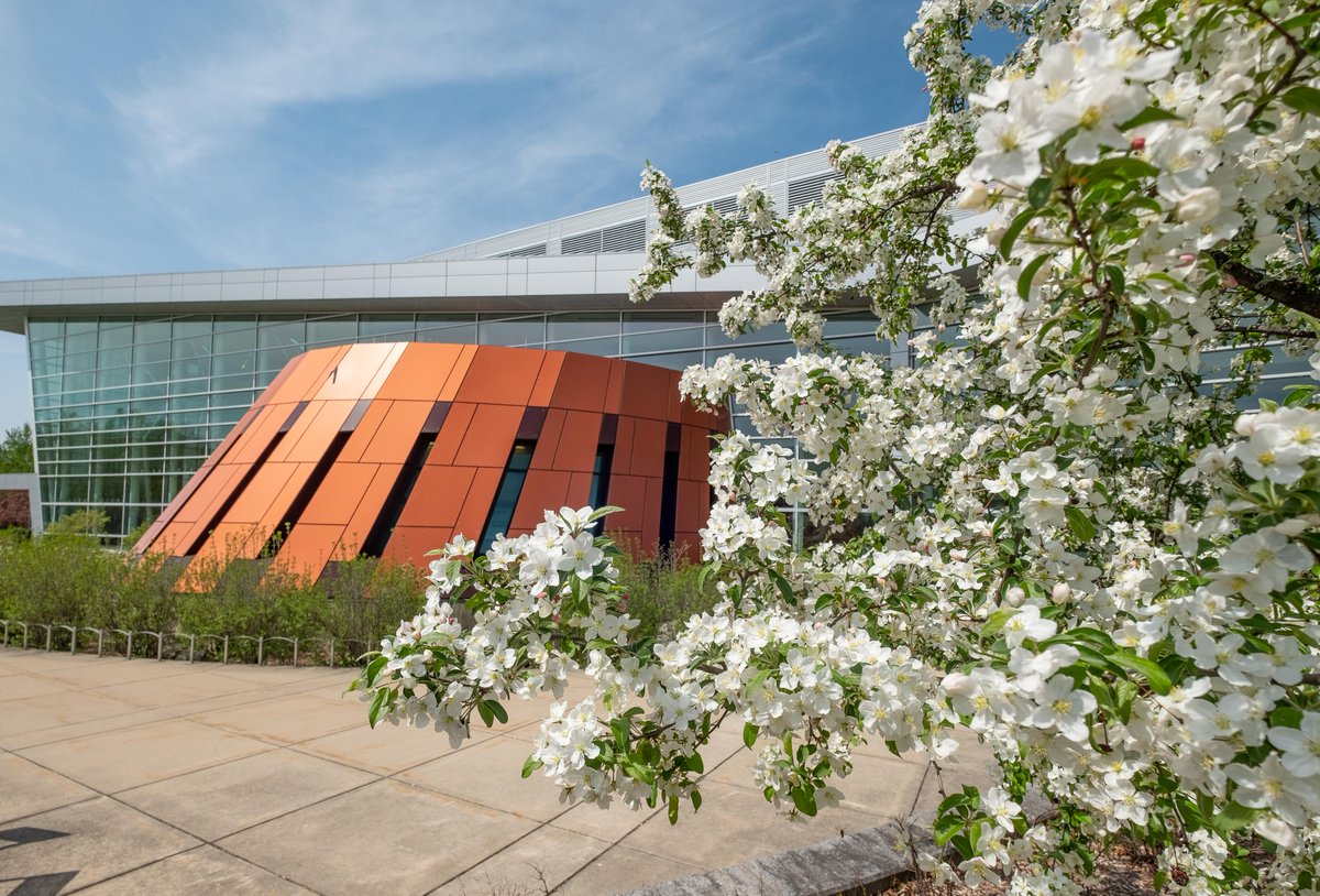 michiganstateu's tweet photo. May flowers. 🌷 #MSUView https://t.co/P9W8W8u4sF