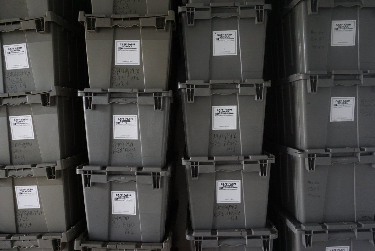 Here we go! We harvested over 300 pounds of vegetables at the CAFF Farm this week, and we're just getting started 😏
Are you looking for our produce? Rogers Local Food Market sells CAFF veggies on Saturdays at the Farmer's Market. 
#cafffarm #nwafarming #localfarms