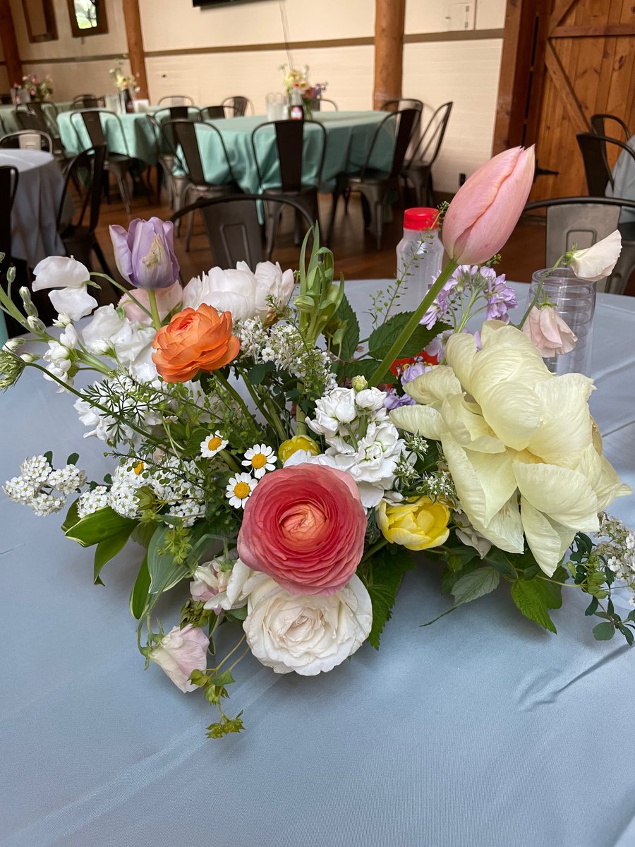 After a weekend that saw both the glory of my daughter marrying her true love, and the horror of my son undergoing emergency surgery, I am unexpectedly spending 2 weeks in an Airbnb far from home and looking for #book recommendations. Also, chocolate.