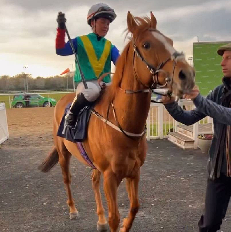 club_irc's tweet photo. MAY THE FORCE BE WITH YOU!
Our runner Poetic Force is fancied to fight out the finish in a small field, the 1555 at Brighton this afternoon. He's very well, and fancied. #poeticforce #irchorses #ircrunners #internationalracingclub https://t.co/FHLzeTq7Pi