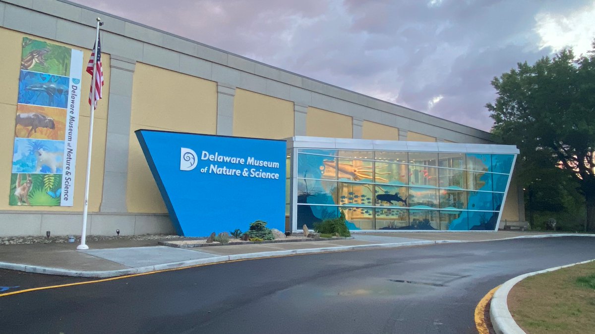 delmnh's tweet image. Closing today: We're hiring an Assistant Curator of Birds. We share research about our connection to species and ecosystems, and explore our dynamic, changing earth. #birdtwitter #ornithology #ornithologyjobs delmns.org/work-here/