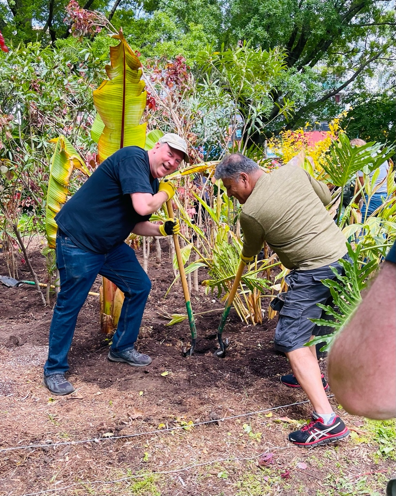 queensbotanicl's tweet photo. Yesterday, volunteers from @HSBC helped replant our tropical collection with our Horticulture team. THANK YOU @HSBC for all your hard work. Book a Corporate Volunteer Day today: https://t.co/HXwFSRxr6Y.
#QBGVolunteers #SocialResponsibility #NYCSpring https://t.co/rXvzTlnmct