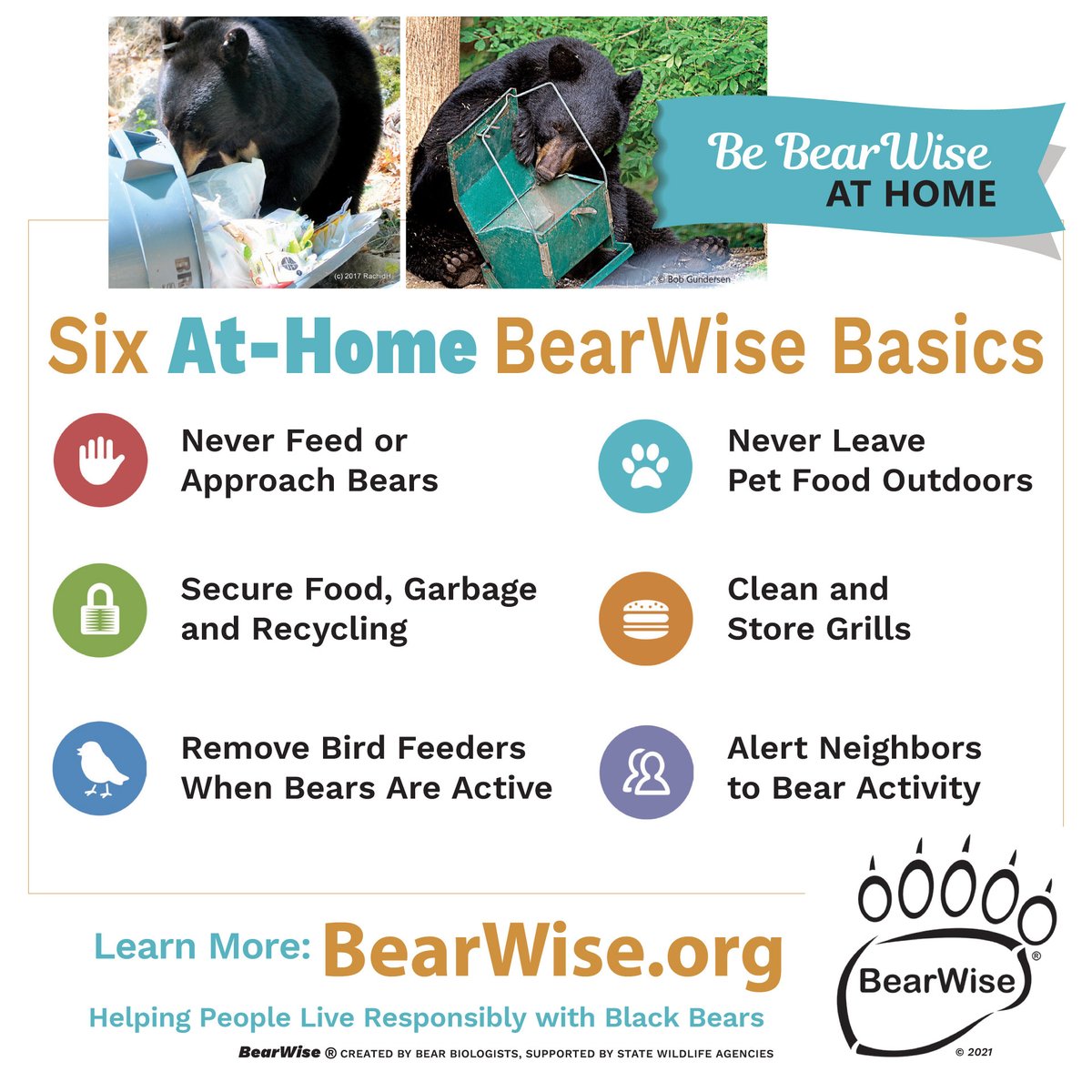 Monday's confirmed black bear sighting in Coventry has social media feeds a-brewin' (bruin 🐻)! As black bears emerge with warmer weather and sightings increase, here are some important facts RIers should *bear* in mind to <a href="/BeBearWise/">BearWise.org</a>! (1/3)